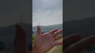 할리퀸마카우 앵무새 루카 돌아올까?? 두근두근