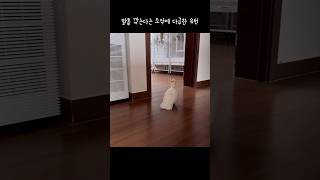 눈치백단 36계 줄행랑ㅋㅋㅋㅋ