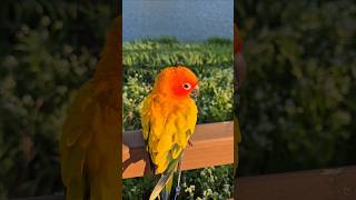 노을과 썬코뉴어