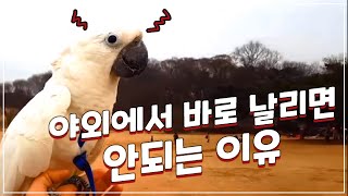 자유비행 훈련 시 야외에서 바로 날리면 안되는 이유