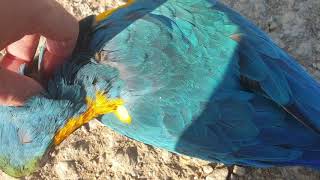 뚱땡이들아 날아!