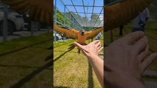 청금강 운동장 호출훈련