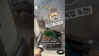 Conure Surprises Kids at Summe…