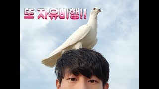 또 자유비행&amp;편의점을 가다