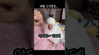 요즘 독수리 형아는 예전 만큼 무섭지는 않지만 그래도 …
