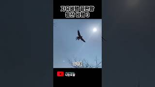 [청금강]절대믿음 끝판왕 등산비행 3 (하강하는 법)