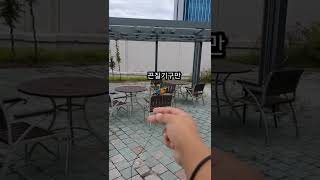 집사와 루카의 인내심 대결 #shorts #청금강