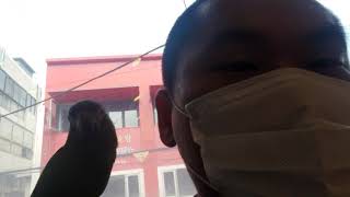 나랑 놀아주는 한스마카우 까꿍이