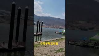 청금강앵무새 강에서의 비행 #shorts