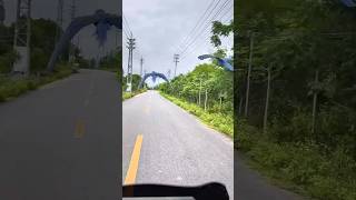 The owner released two hyacint…