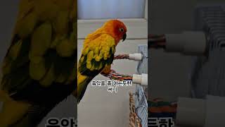 써니는 음악에 천부적인 재능이 있는것 같아!  #썬코뉴…