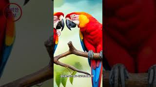 우리가 미처 알지 못한 앵무새의 비밀