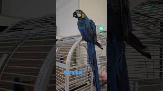 앵무새카페왔어요 #송도리프패럿 #세자매 #방학중 #앵무…