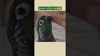 춘자씨는 뭘하는걸까?(250615)  손에 뭐가 있는 …