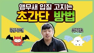 [앵무새키우기]입질교정이 이렇게 쉽게?! 뒤집기 교육까…