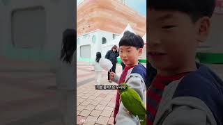 앵무새 체험한 아기빡쪼 #서산 #서산버드랜드 #어린이날 #어린이날행사 #앵무새 #앵무새체험 #앵무새만지기 #동물체험 #새 #버드 #bird #parrot