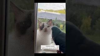 앵무새 여름방학(Summer vacation for p…