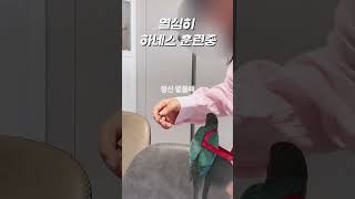 하네스도전기 기록1ㅈㅣ! #앵무새