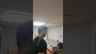 헬스뽀미.앵무새.한스마카우.아령들기.2025.4.15