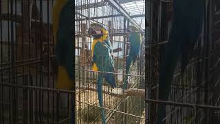 홍성 아가새농장  청금강