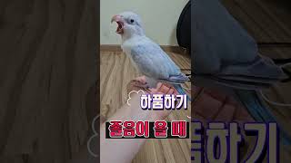 퀘이커 루카 졸려요..