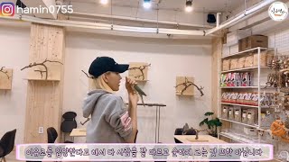 이유조(어린새) 입양을 선호하는 이유와 알아야할 내용