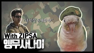 앵무새 무무 가짜사나이를 패러디하다.