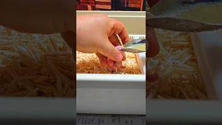 청금강 앵무새 부화했어요. #birdslover #pa…