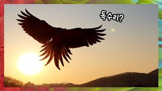 아빠만 날리냐? 엄마도 날린다~ 해질녘 노을을 보며 자…
