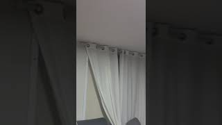 커튼 속 앵무새?