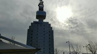 [앵무새자유비행]청금강 시월이 대전 kbs방송국앞