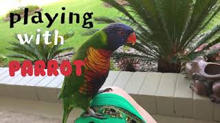 ❤️AUS Play with a parrot 앵무새와 …