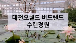 대전오월드 버드랜드 수련정원 썬코뉴어
