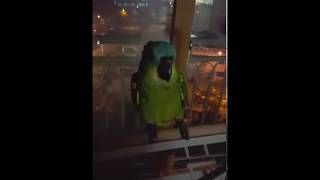 아마존 앵무새 나니 귀엽죠? 사랑스럽네요