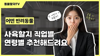 반려동물 추천 해드릴게요 #햄스터키우기 #앵무새 #코뉴어 #크레스티드게코도마뱀