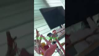 #앵무새 #birds #모란이피기까지는 #코뉴어 #parrot #애견영상 #cute