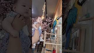 2022.05.05. 박하♡ (+247) 청금강앵무 보…