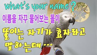 What&#39;s your name? My name …