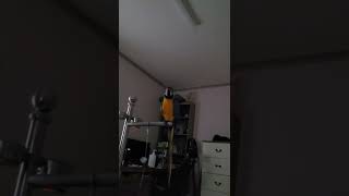 발 들고 인사해주는 루카 #shorts #청금강