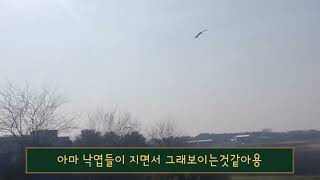 청금강아름이 오랜만에 자유비행