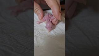 퀘이커 아가가 또 태어났어요 아가 환영해~♡ 건강하자 …