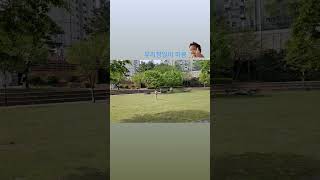 청금강 앵무새 리드줄 운동