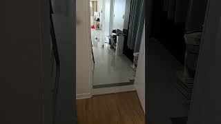 (코뉴어 가족) 어슬렁 어슬렁거리다