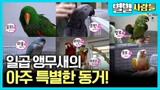 하루도 조용할 날이 없는 일곱 앵무새와의 아주 특별한 …