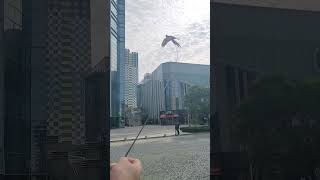 오랜만에 루카와 산책중 #청금강 #청금강앵무새 #mac…