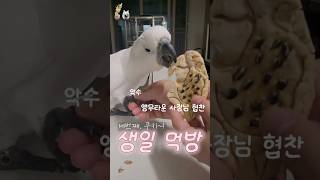 과연 다 먹을까???? 델타 생일 먹방~! #델타 #코…