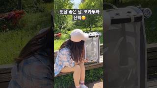 햇살 좋은 날, 코카투와 산책 #앵무새 #앵무새키우기 …