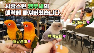 강아지 고양이 못지 않은 교감능력을 보여주는 평생 반려…