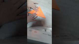 귀염둥이 앵무새