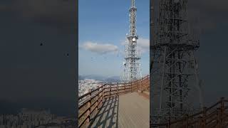 오랜만에 날았던 루카 #parrot #앵무새 #maca…